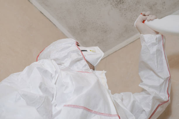 Best Mold Removal Company Near Me  in Monroe North, WA