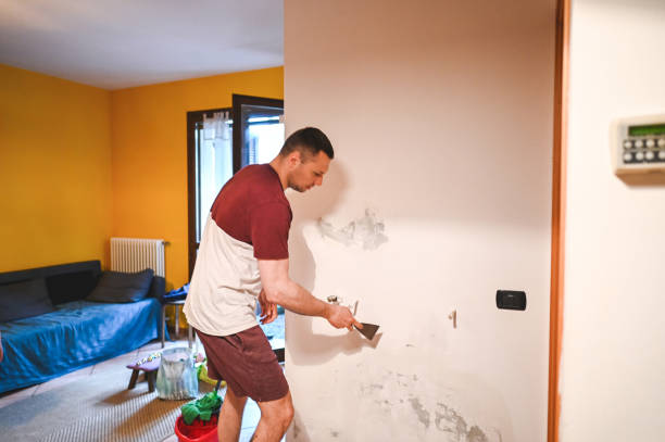Office Mold Removal Services in Monroe North, WA